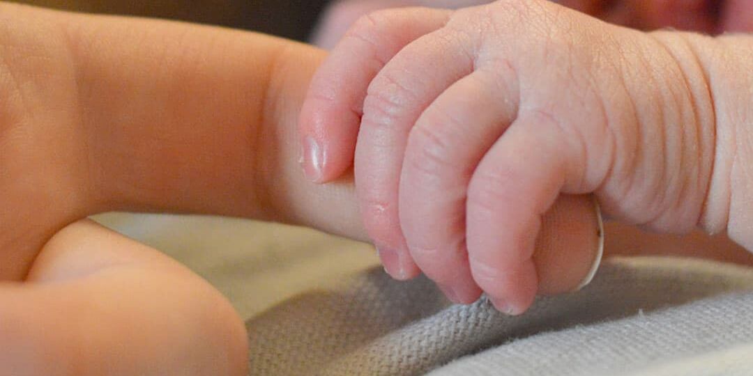 Adonis Newborn Care Program Until Your Arrival