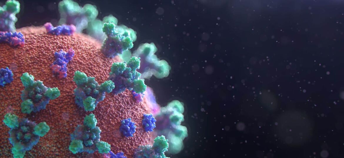 fusion-medical-animation-EAgGqOiDDMg-unsplash
