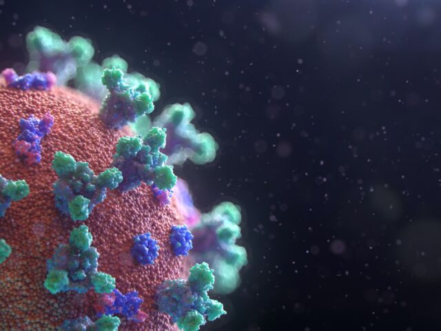 fusion-medical-animation-EAgGqOiDDMg-unsplash